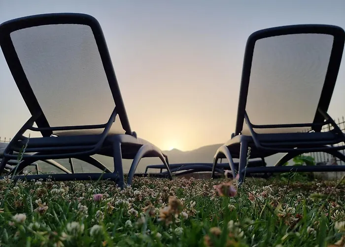 43 بيت ضيافة Lini