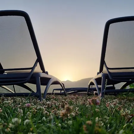 43 בית הארחה Lini